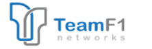 teamf1 Networks: Engineering Customized Networking And Security Solutions For Embedded Devices